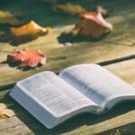 bible 1868070 640