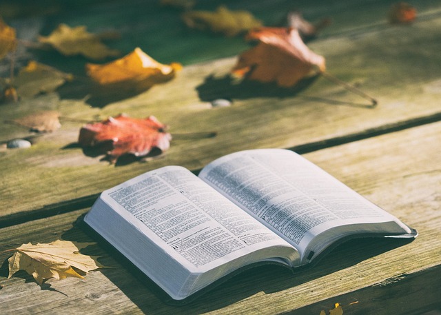bible 1868070 640