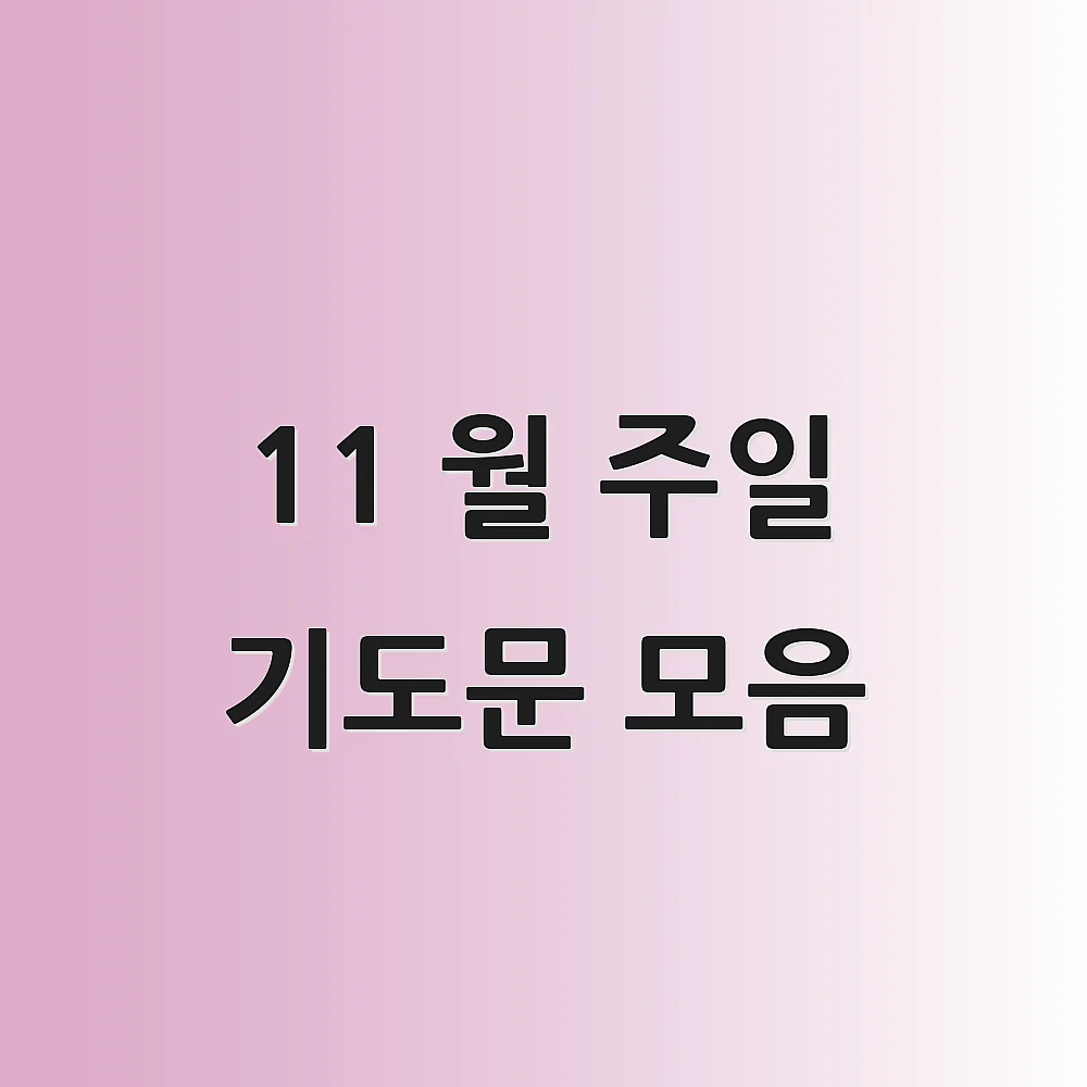 11 월 주일 기도문 모음