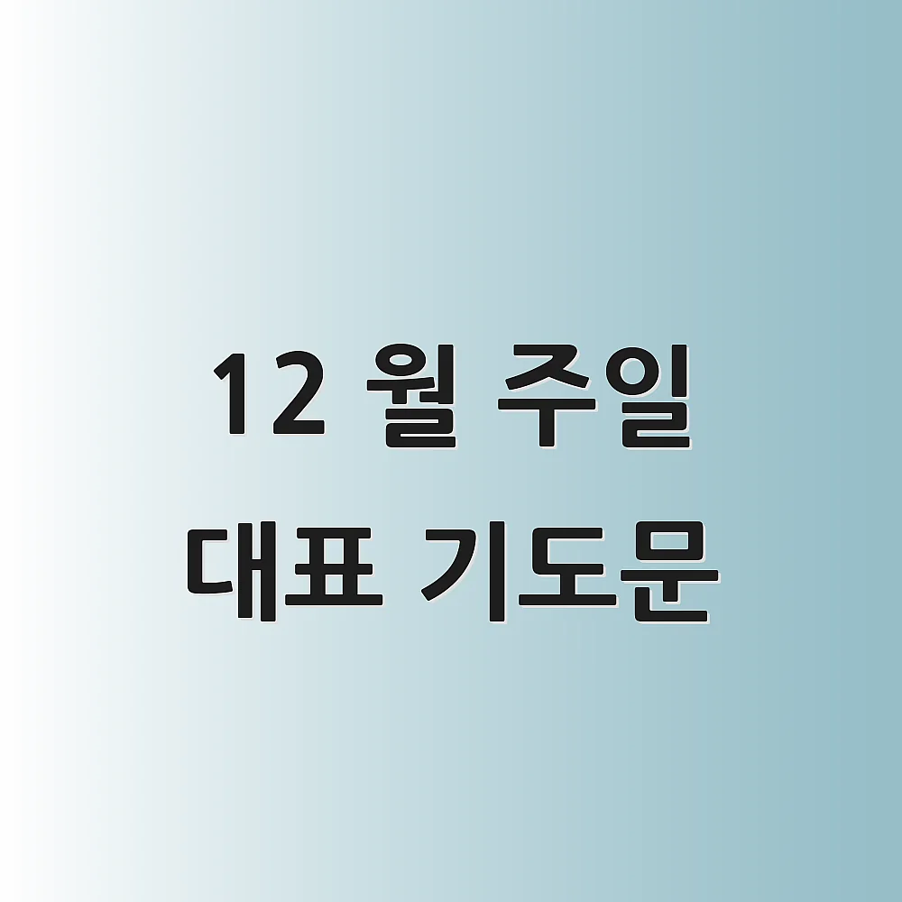 12 월 주일 대표 기도문